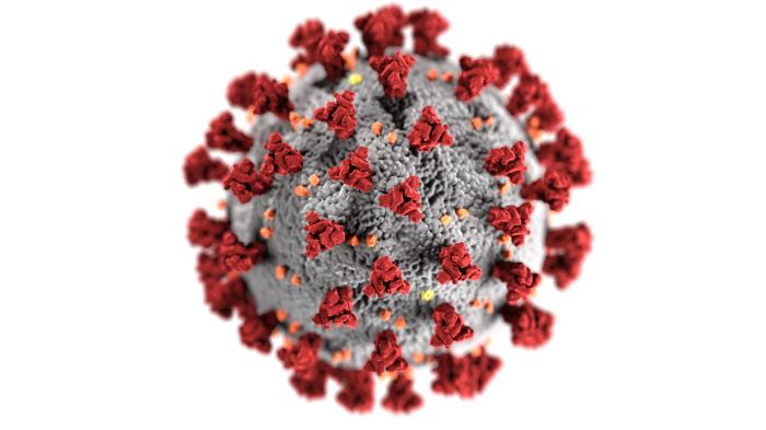 Cornavirus image